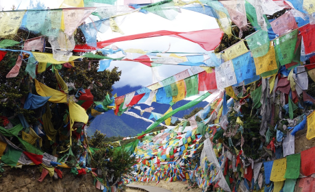 西藏拉萨旅游，探索神秘的高原明珠：西藏拉萨旅游全攻略
